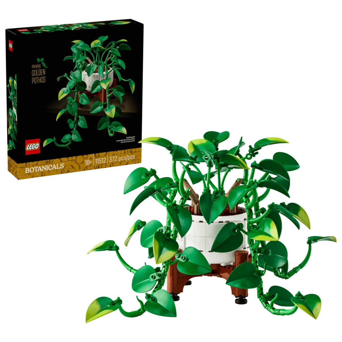 Hanging Golden Pothos (11512)